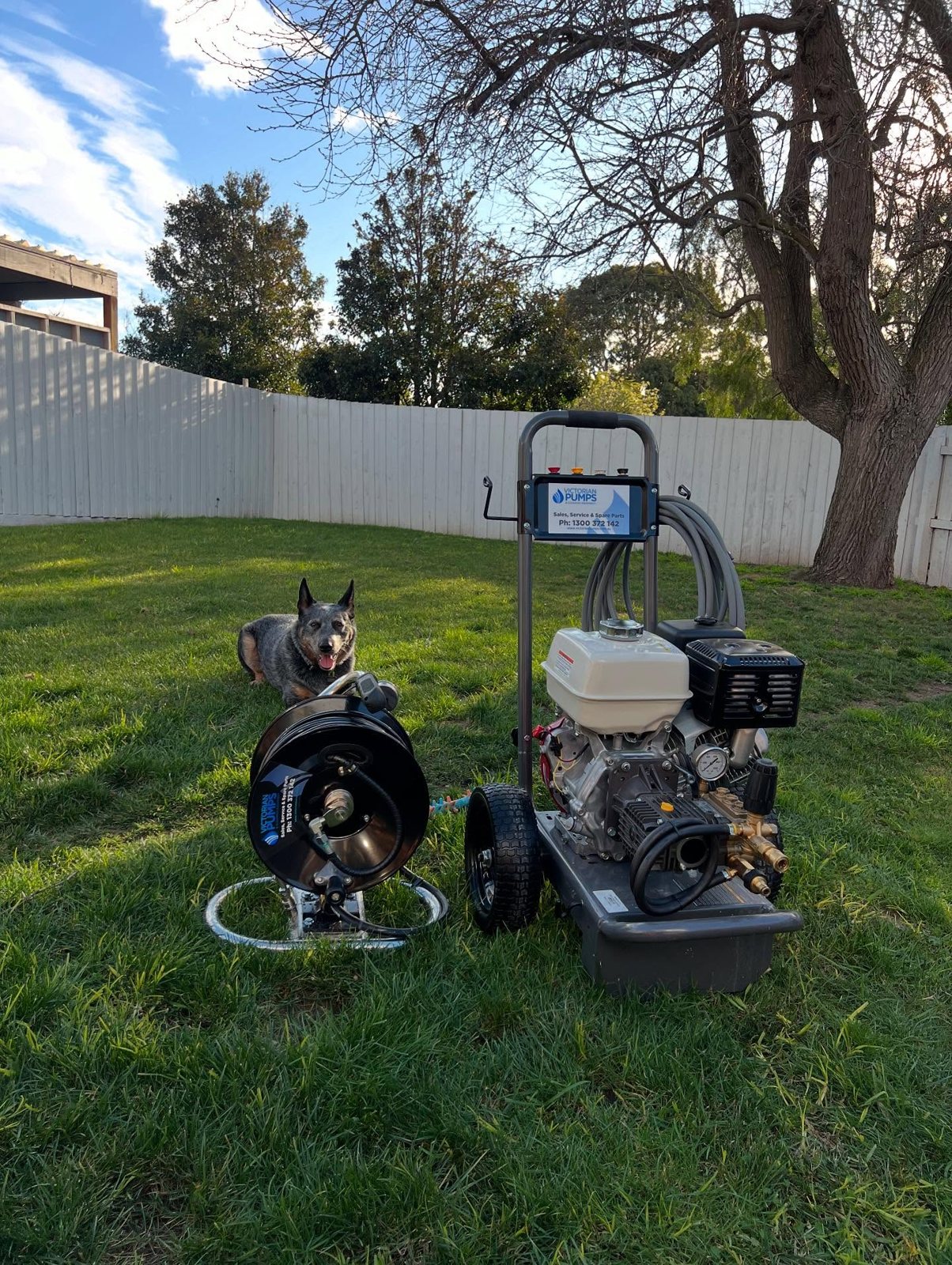 Petrol drain jetter and hose reel set up on a back lawn, with a dog watching